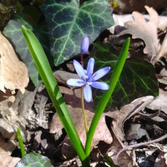 Артур Бадалов, 01.03.1982, Феодосия