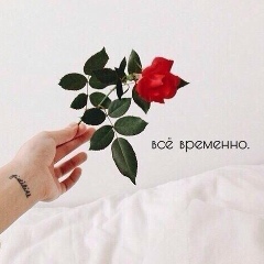 Елена Ельцова, 07.07.1991, Ставрополь
