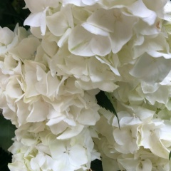 Ольга Мульцина, 25.09, Красноярск