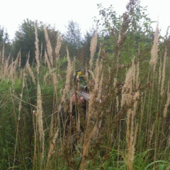 Леонид Уткин, 12.12, Москва