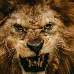 Ардак Балтабаев, 09.12