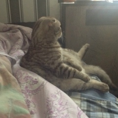 Димон Некрасов, 14.10.1989, Днепр (Днепропетровск)