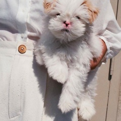 Мила Ивлеева, 27.03.1999