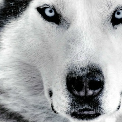 Марина Матвиенко, 21.07, Запорожье