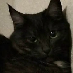 Адина Жакселекова, 09.12, Алматы