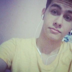 Ricardo Lima, 07.07.1994