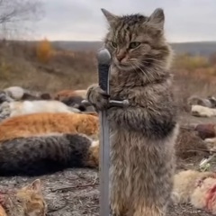 Djohar Durum, Copenhagen