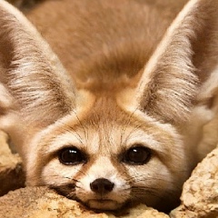 Катерина Сидорова, 14.01.1989, Ростов-на-Дону