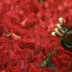 Лиана Шалумова, 07.05, Москва