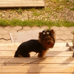 Юлия Кузьминова, 19.08, Санкт-Петербург