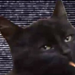 Джамаль Леваковиц, 31.10, Алматы