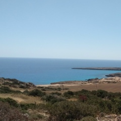 Рома Кислов, 29.01