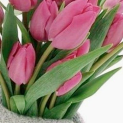 Katrin Kham, 05.11, Екатеринбург