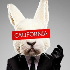 Игорь Петров, 26.07, Москва