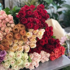 Эля Арманова, 20.12.1988, Алматы