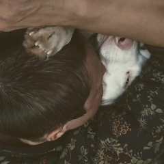 Аня Аверьянова, 12.03.1983, Сыктывкар