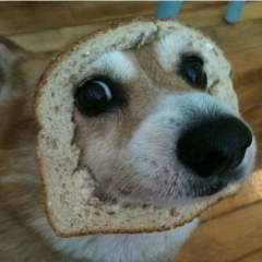 Александр Борисенко, 19.03.1989