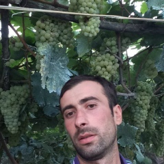 Giorgi Shonia, 05.11.1982, Тбилиси