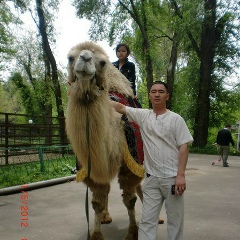 Азис Чонтей