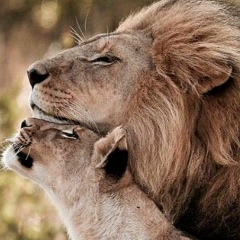 Саади Ян, 30.06.1913, Pala