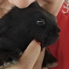 Ирина Лазарева, 20.09, Жуковский