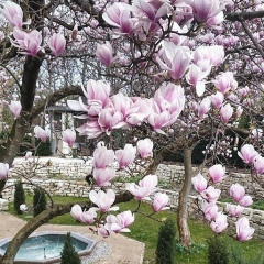 Жанылай Матенова, 11.12, Алматы