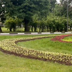 Дима Карпуков, Санкт-Петербург