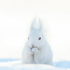 Мария Королева, Москва