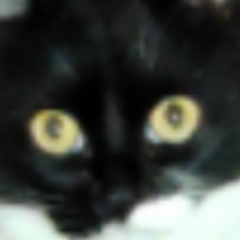 Дарья Латышева, 08.09.1983