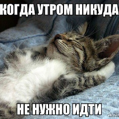 Володимир Шип