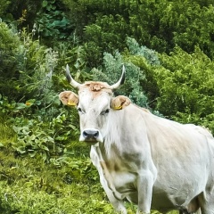 Мария Зубец, Абакан