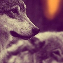 Ильяс Исагалиев, 13.08, Алматы