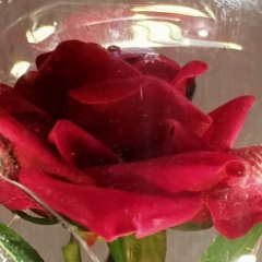 Надежда Конакова, 27.09, Раменское