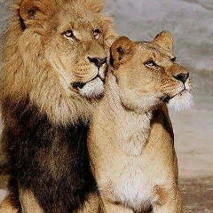 Умар Дашонов, 05.11.1994