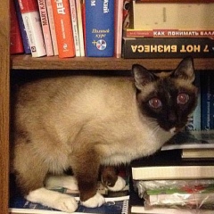 Игнатий Кашницкий, 10.03.1972, Berlin