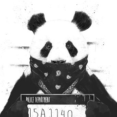 Maksim Panda, 14.10.1989, Воронеж