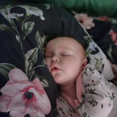 Владимир Кузин, Санкт-Петербург