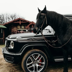 Жыргал Аманов, 15.03.1988, Москва