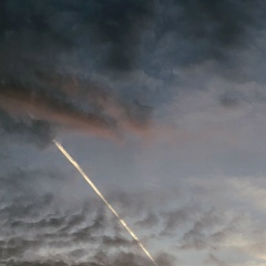 Диана Головчанская, 16.01, Москва