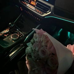 Разумм Безсилен, Алматы