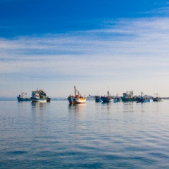 Люсёнок Юхина, 31.10, Москва