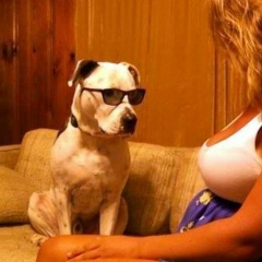 Александр Попов, 01.04.1975, Москва