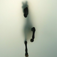 Anar Karpbayeva, 09.06.1986, Павлодар