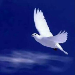 ၿငိမ္း ခ်မ္း, 13.05.1985