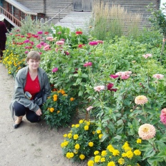 Надежда Шипкова, Санкт-Петербург