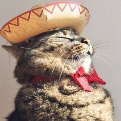 Максим Ким, 04.10