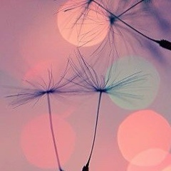 Medina Salangiri, 03.09