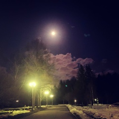 Егор Королев, 13.11.1987, Москва