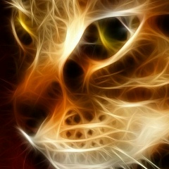 Вячеслав Волчек, 06.11, Сочи