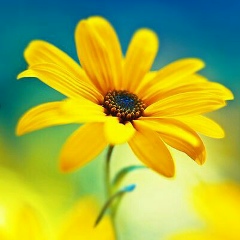 Ильмира Абжалимова, 31.10, Санкт-Петербург